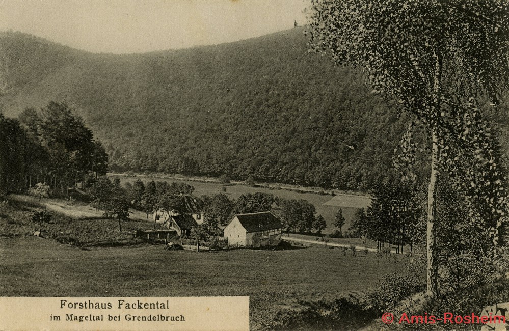 divers la foret communale de rosheim