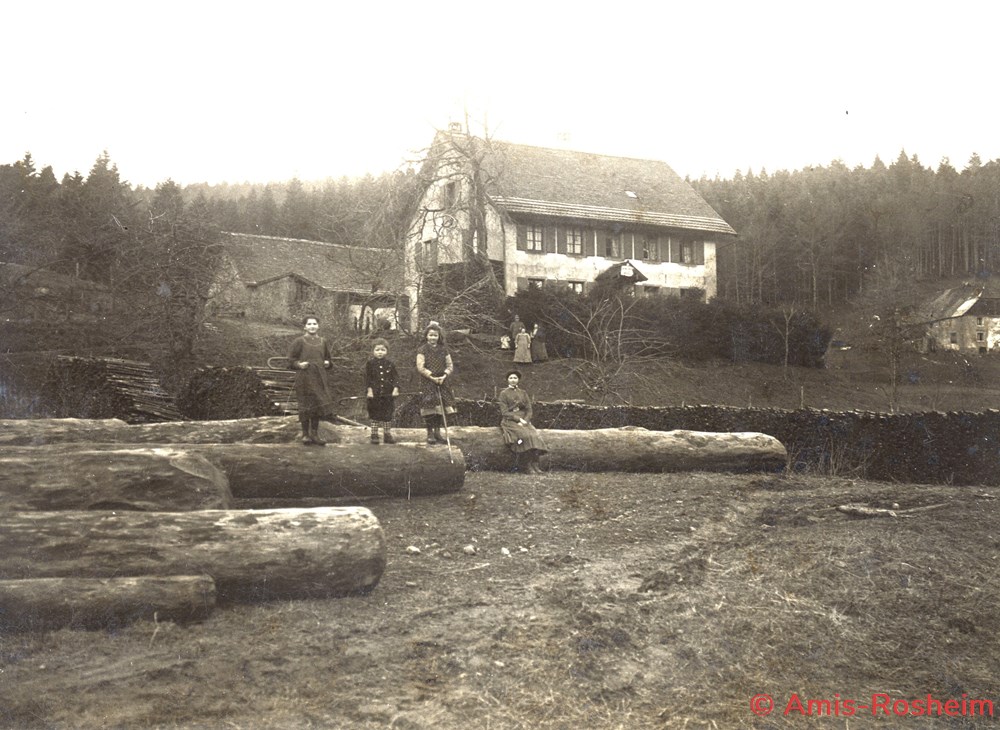 divers la foret communale de rosheim