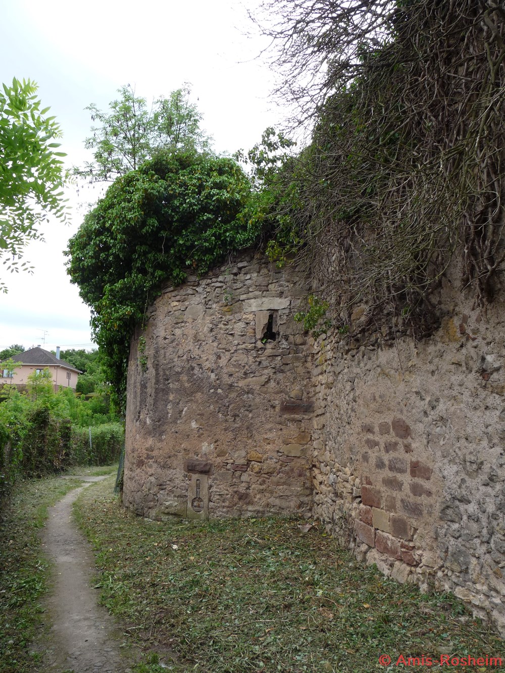 Enceinte extérieure (2/6) : les remparts côté Est 6 divers enceinte exterieure 2 6 les remparts cote est