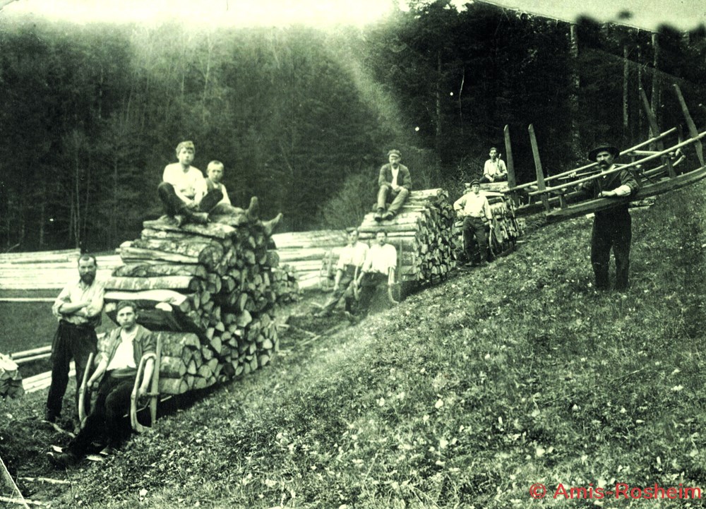 divers la foret communale de rosheim