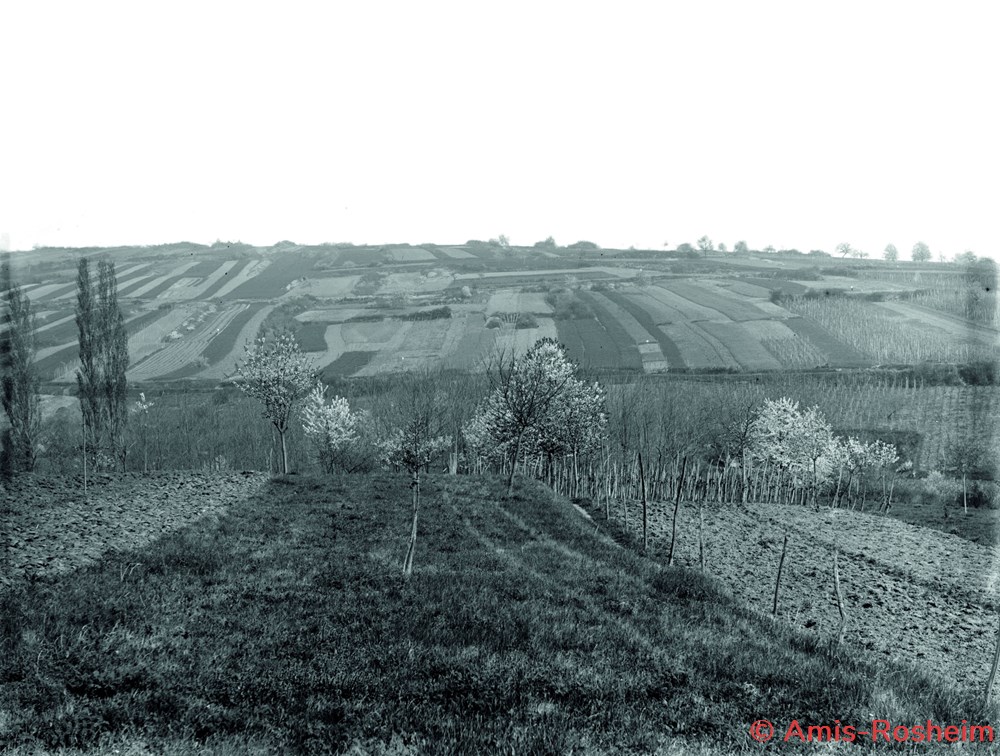 L'agriculture et l'élevage 2 divers l agriculture et elevage