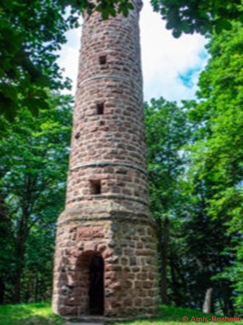 divers la foret de rosheim vers le heidenkopf