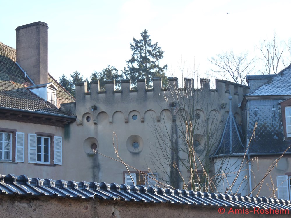 Enceinte extérieure (4/6) : les remparts côté Ouest 2 divers enceinte exterieure 4 6 les remparts cote ouest