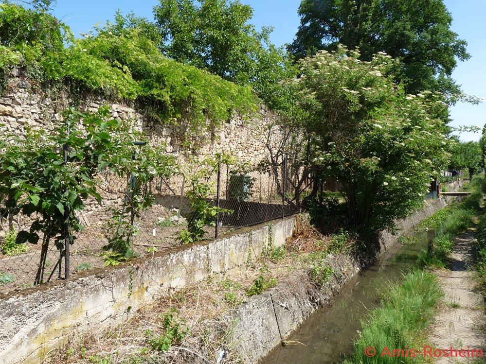 Enceinte extérieure (3/6) : les remparts côté Sud 4 divers enceinte exterieure 3 6 les remparts cote sud