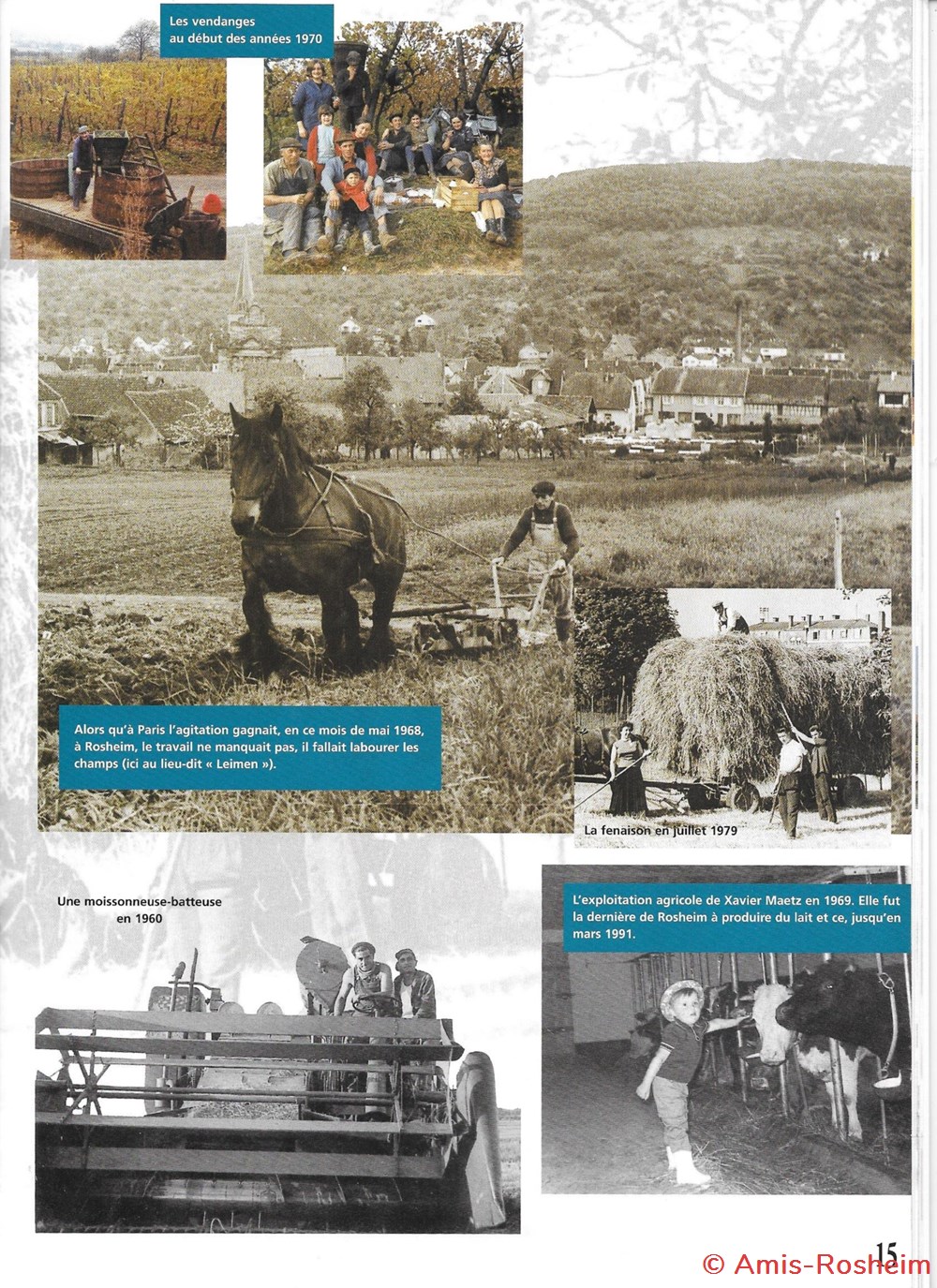 L'agriculture et l'élevage 8 divers l agriculture et elevage