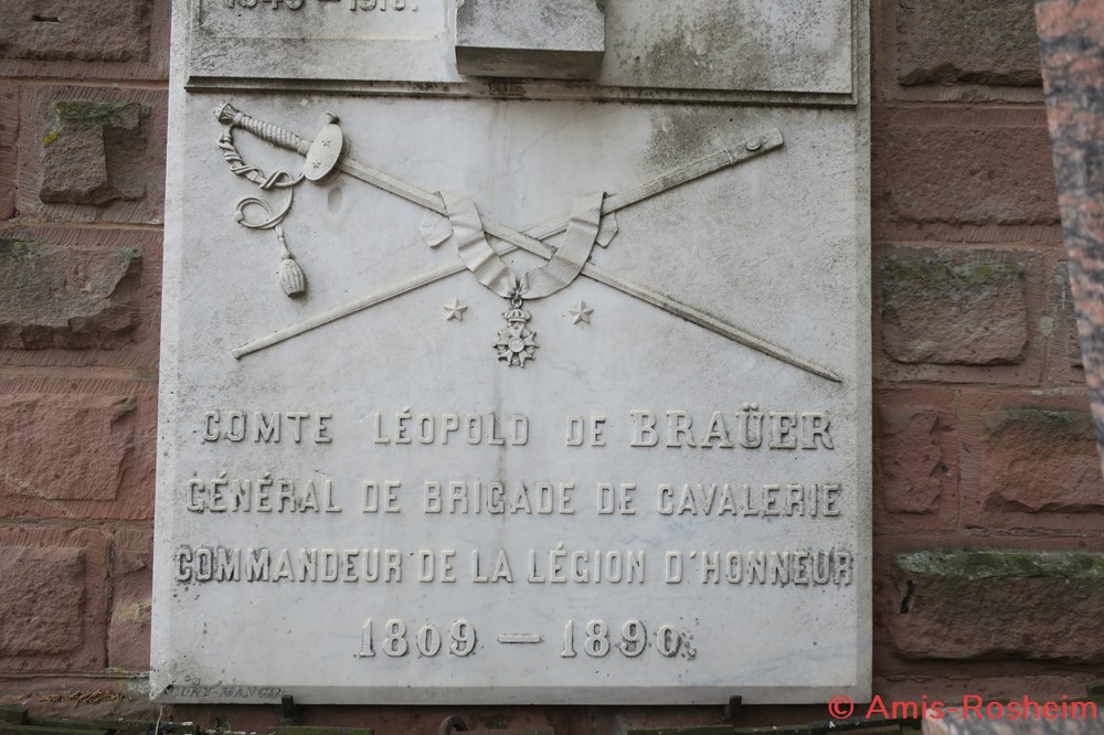 divers la famille de brauer