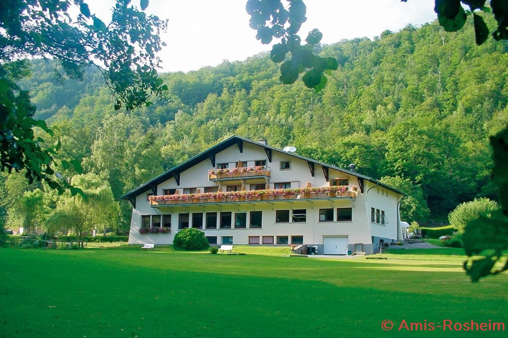 La forêt de Rosheim : vers la Fischhütte 3 divers la foret de rosheim vers la fischhutte