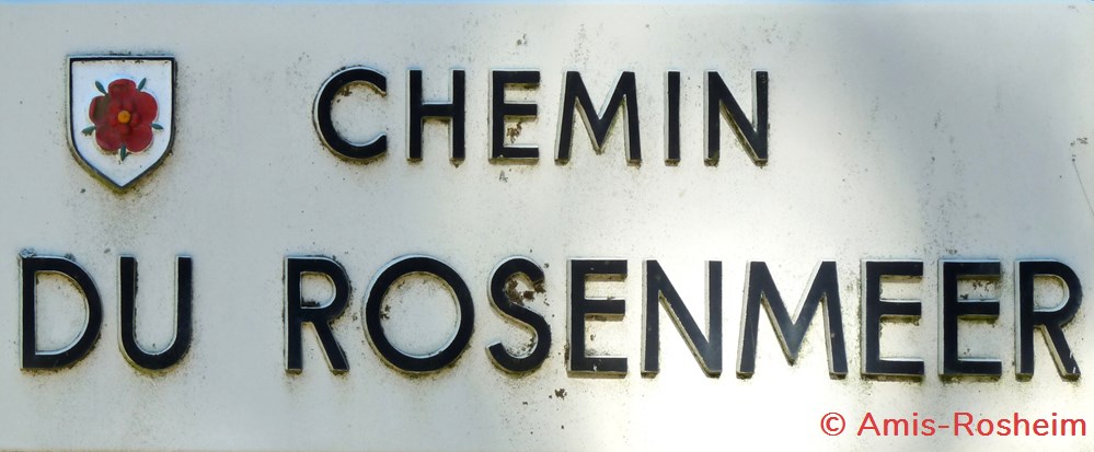 divers la foret de rosheim le bildhauerhof