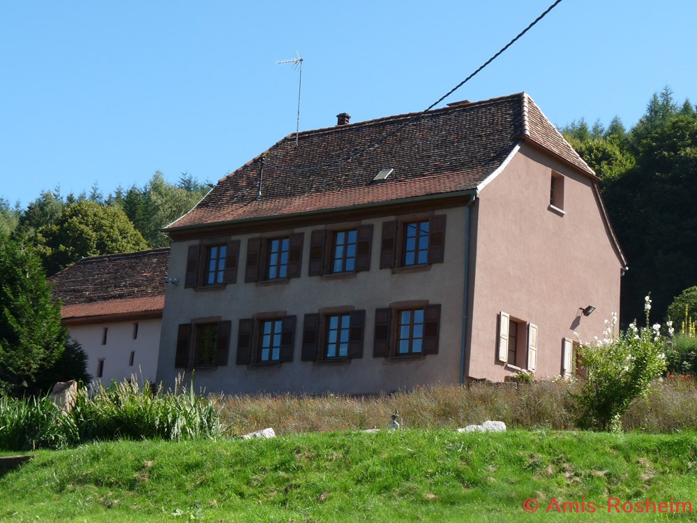 divers la foret communale de rosheim