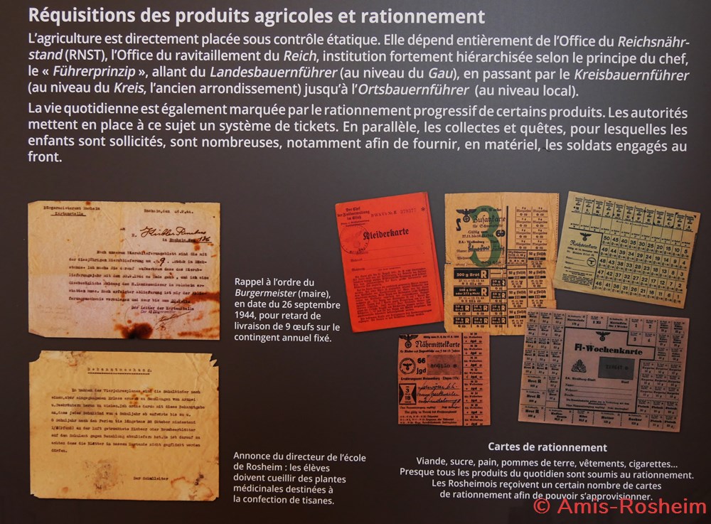 Rosheim 1944, une ville dans l'Alsace annexée 2/2 8 divers rosheim 1944 une ville dans alsace annexee 2 2