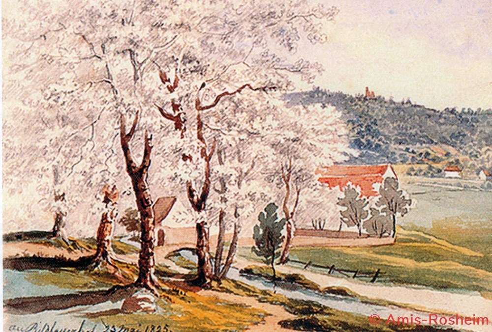 divers la foret de rosheim le bildhauerhof