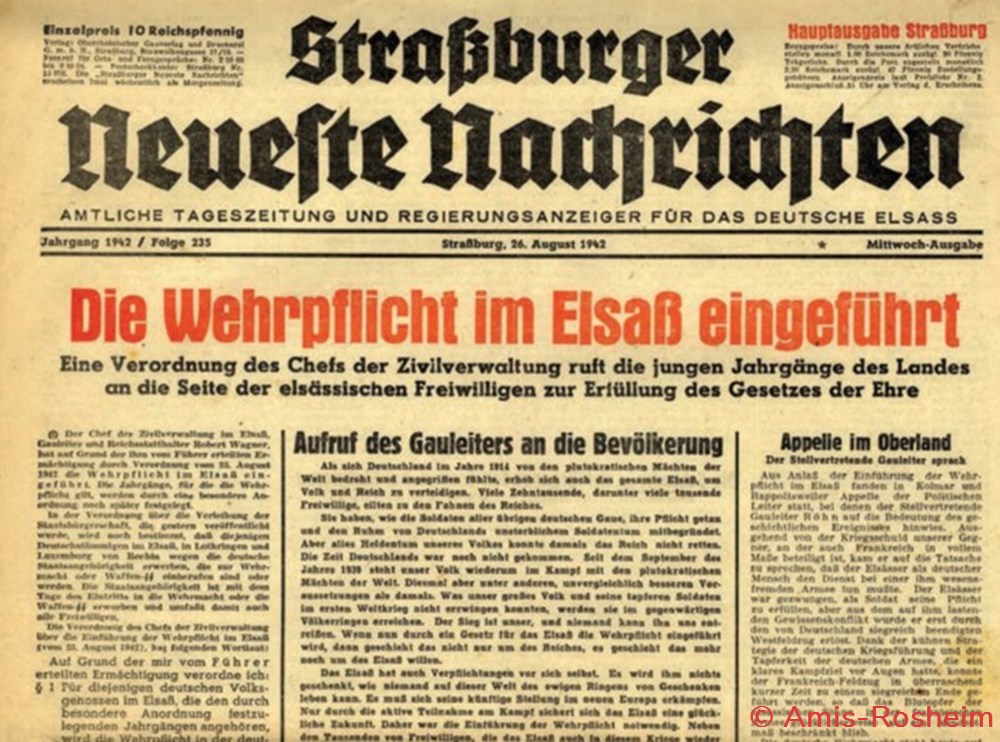 Incorporation : Du Reichsarbeitsdienst au front 2 divers incorporation du reichsarbeitsdienst au front