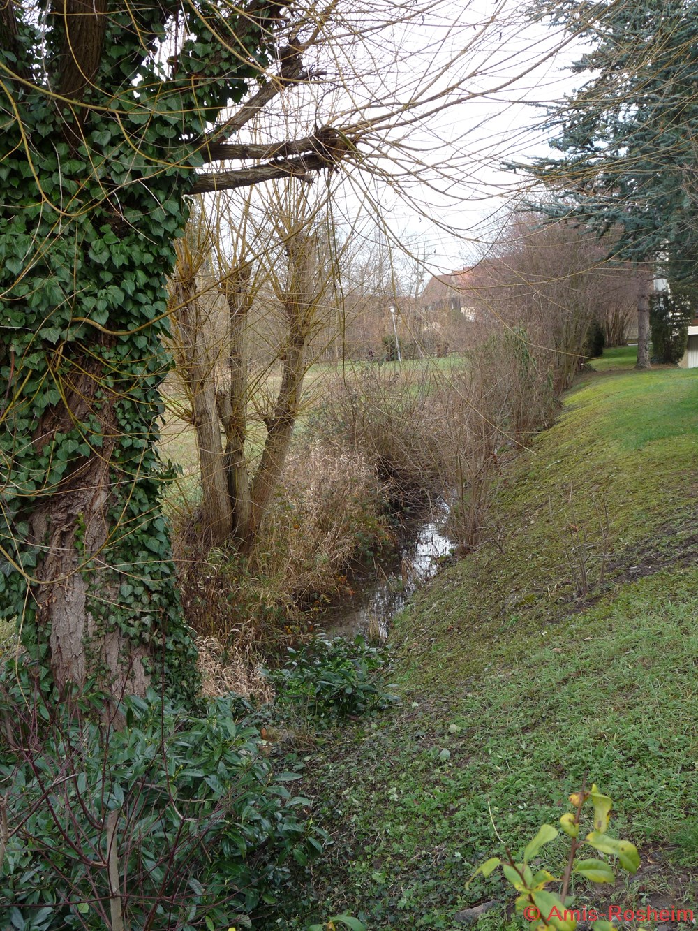 divers avant le monastere les bains
