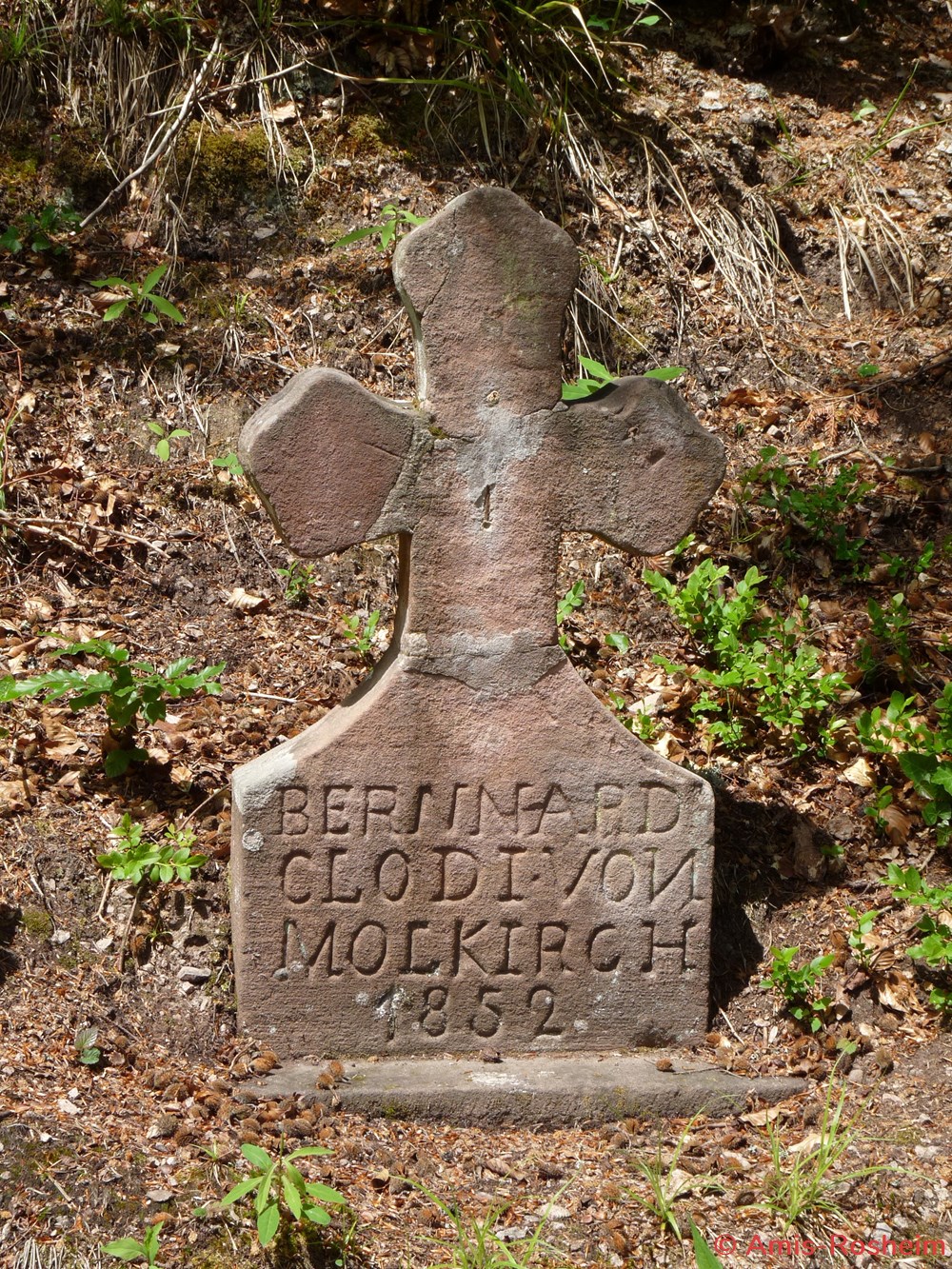 divers la foret de rosheim vers le heidenkopf
