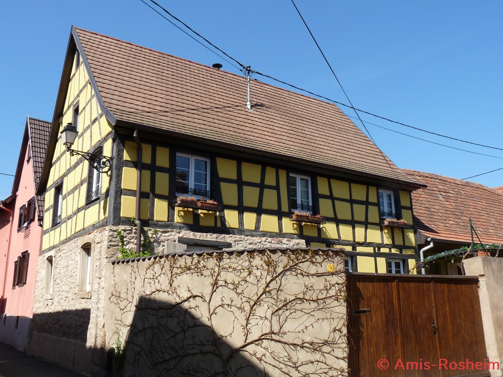 Rue du Lion (1/4) 4 divers rue du lion 1 4