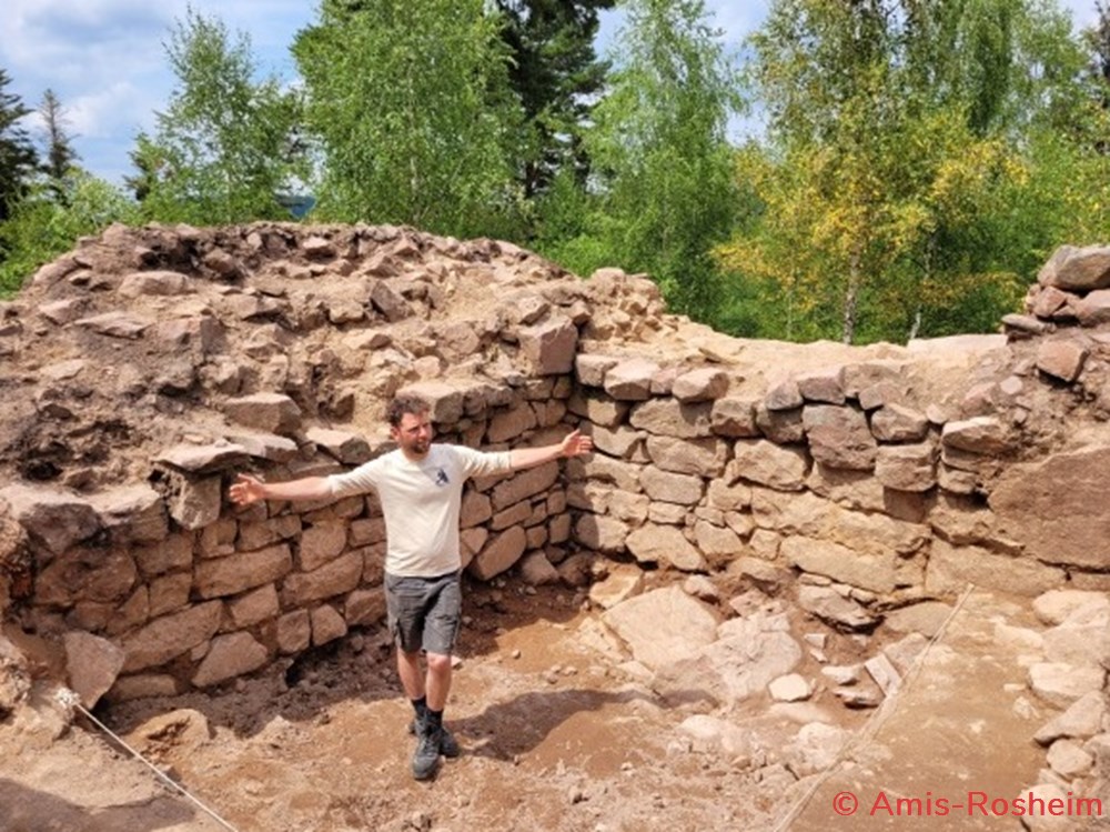 La forêt de Rosheim : vers la Fischhütte 6 divers la foret de rosheim vers la fischhutte