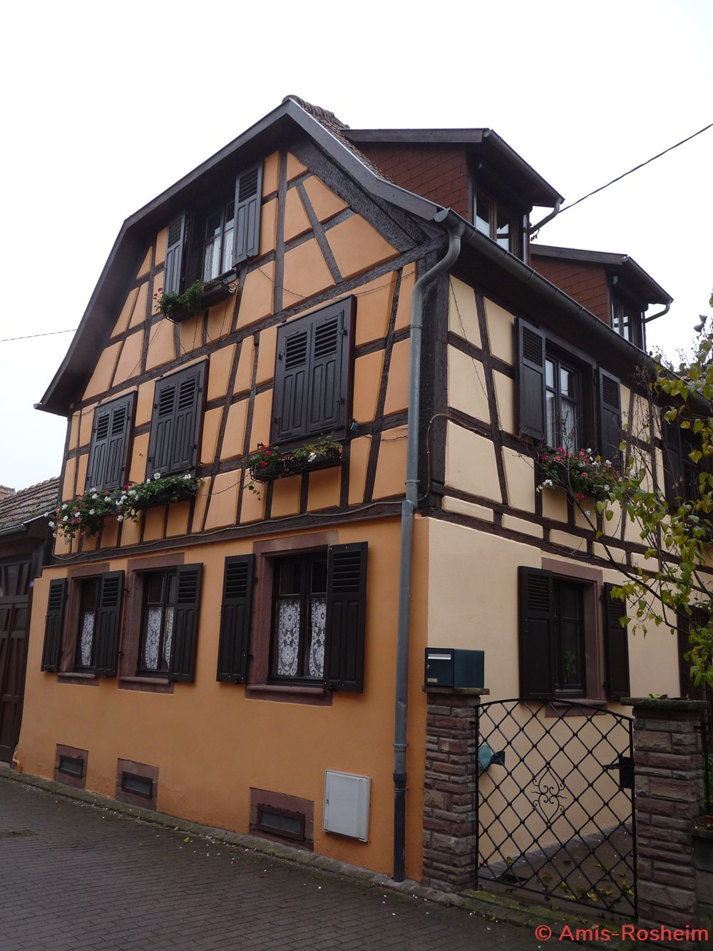 Rue du Lion (2/4) divers rue du lion 2 4