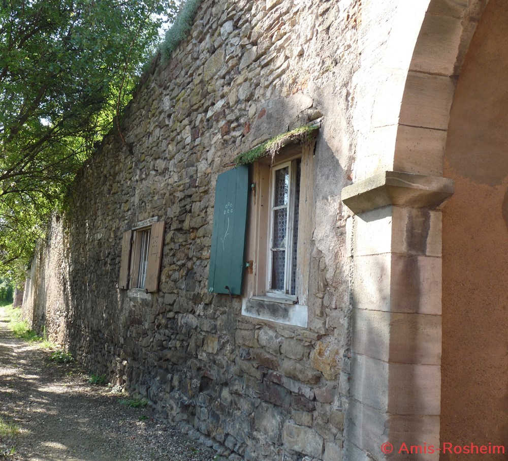 Enceinte extérieure (2/6) : les remparts côté Est 4 divers enceinte exterieure 2 6 les remparts cote est