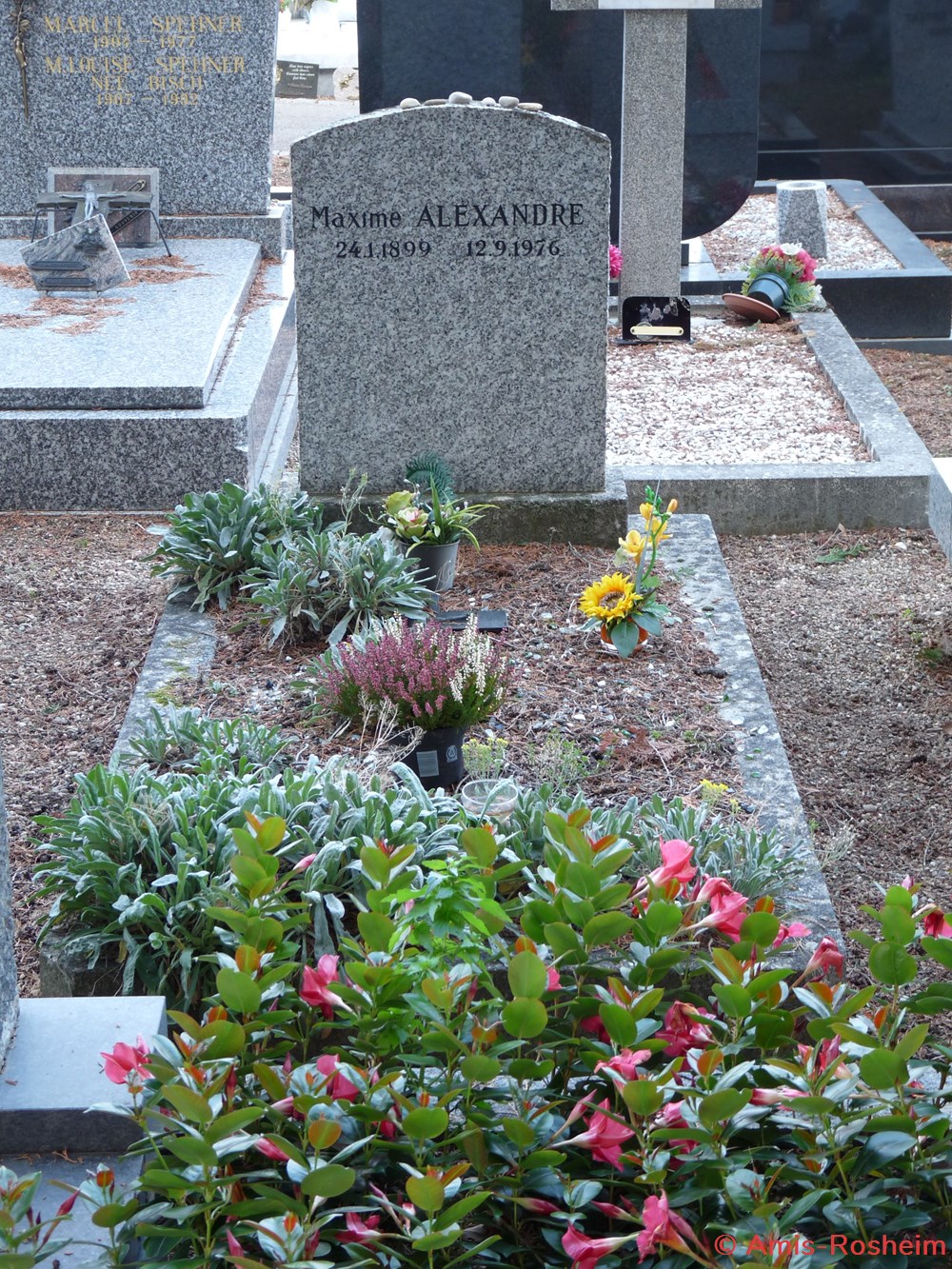 Le cimetière de Rosheim 2/3 6 divers le cimetiere de rosheim 2 3