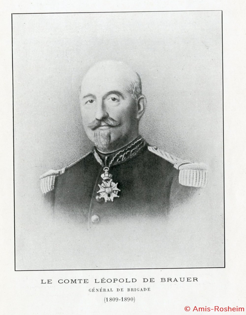 divers la famille de brauer