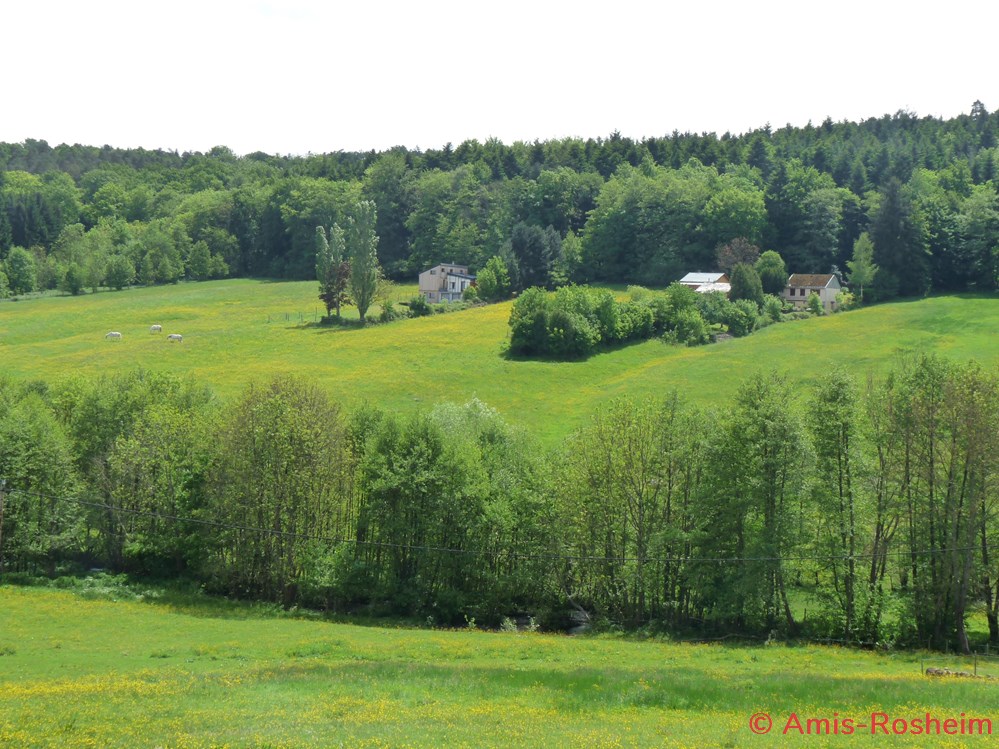Mollkirch et Laubenheim 2 divers mollkirch et laubenheim