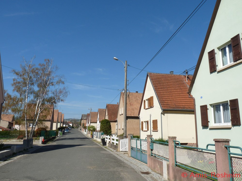 Rue de Molsheim 8 divers rue de molsheim