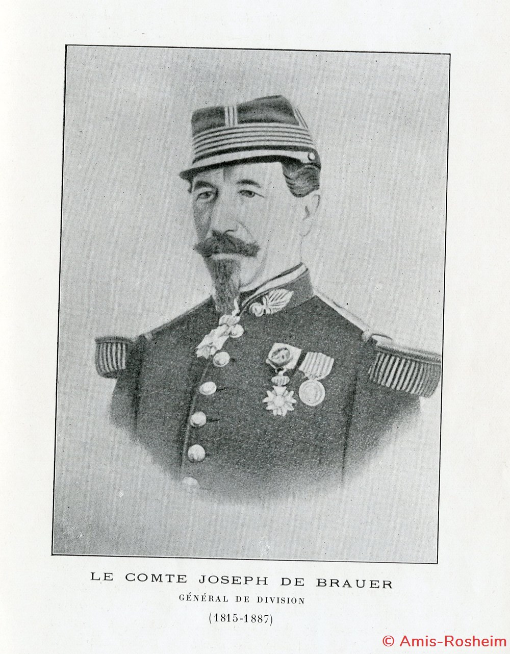 divers la famille de brauer