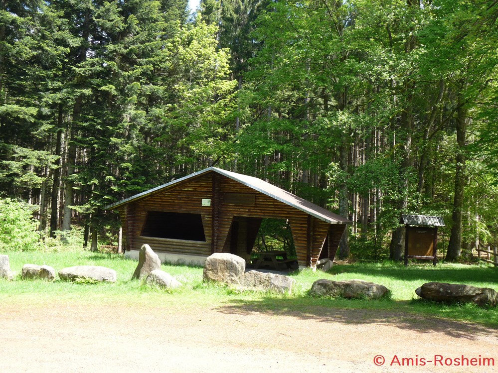 divers la foret communale de rosheim