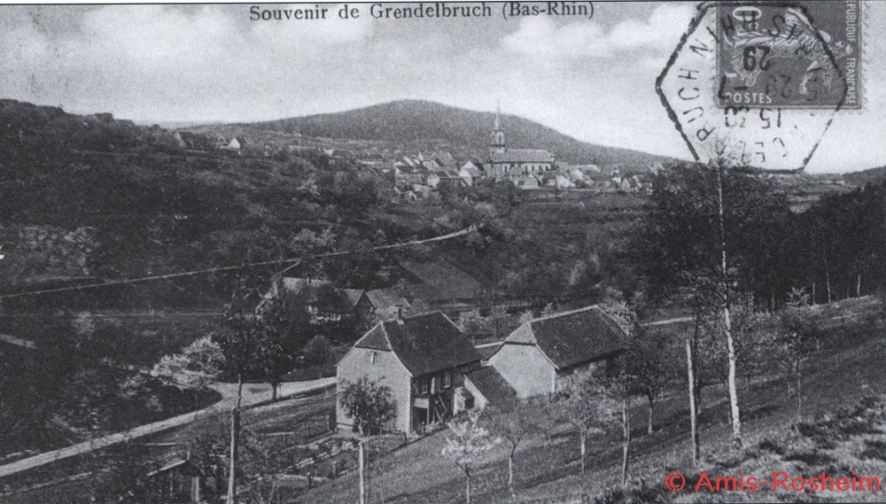 La forêt de Rosheim : vers le Magelrain. 3 divers la foret de rosheim vers le magelrain