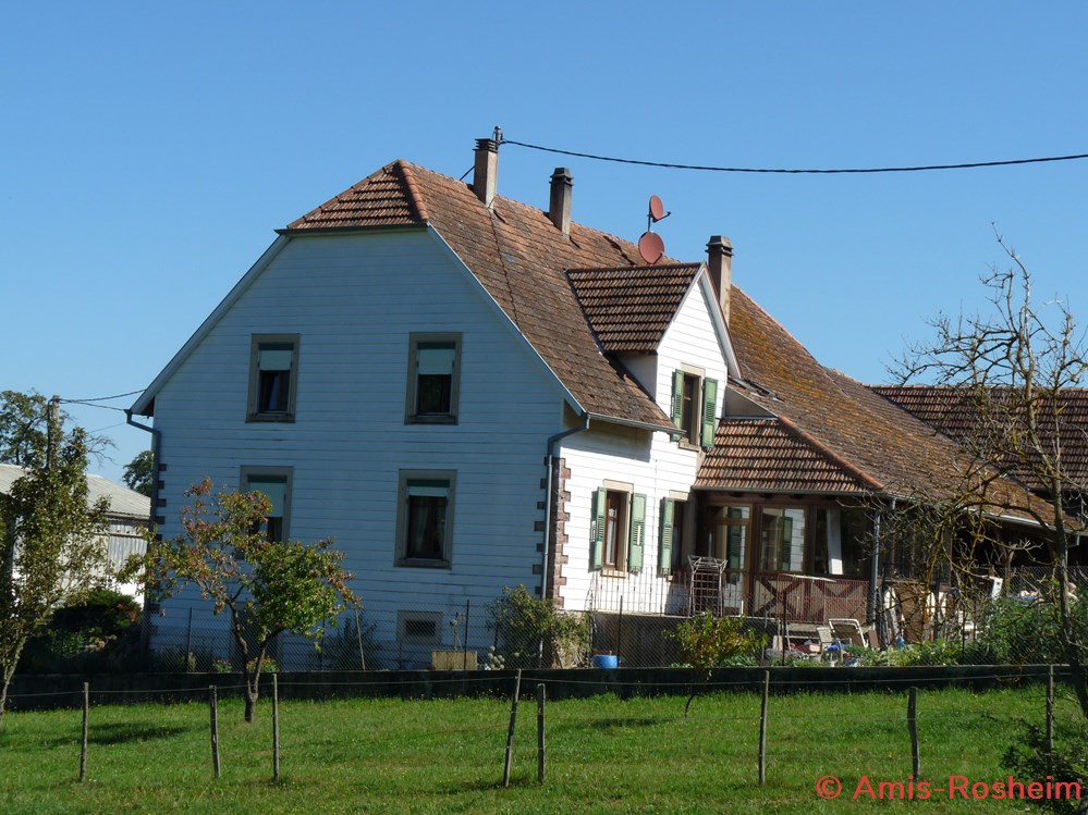 divers la foret de rosheim le bildhauerhof