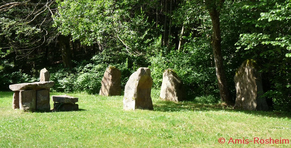 divers la foret de rosheim vers le heidenkopf