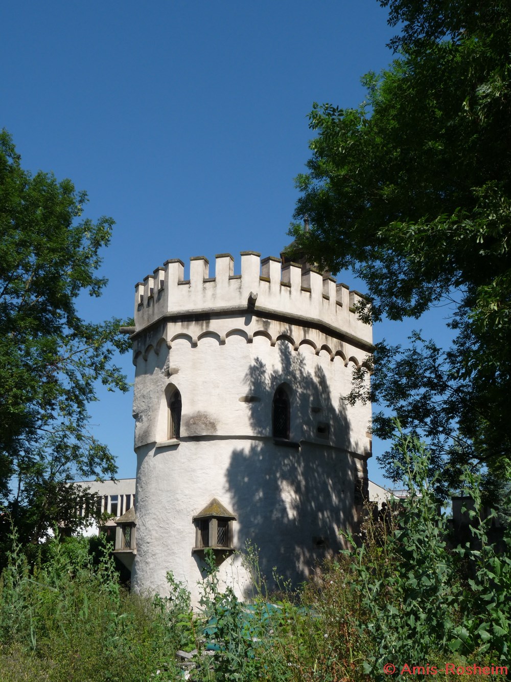 Enceinte extérieure (3/6) : les remparts côté Sud 7 divers enceinte exterieure 3 6 les remparts cote sud