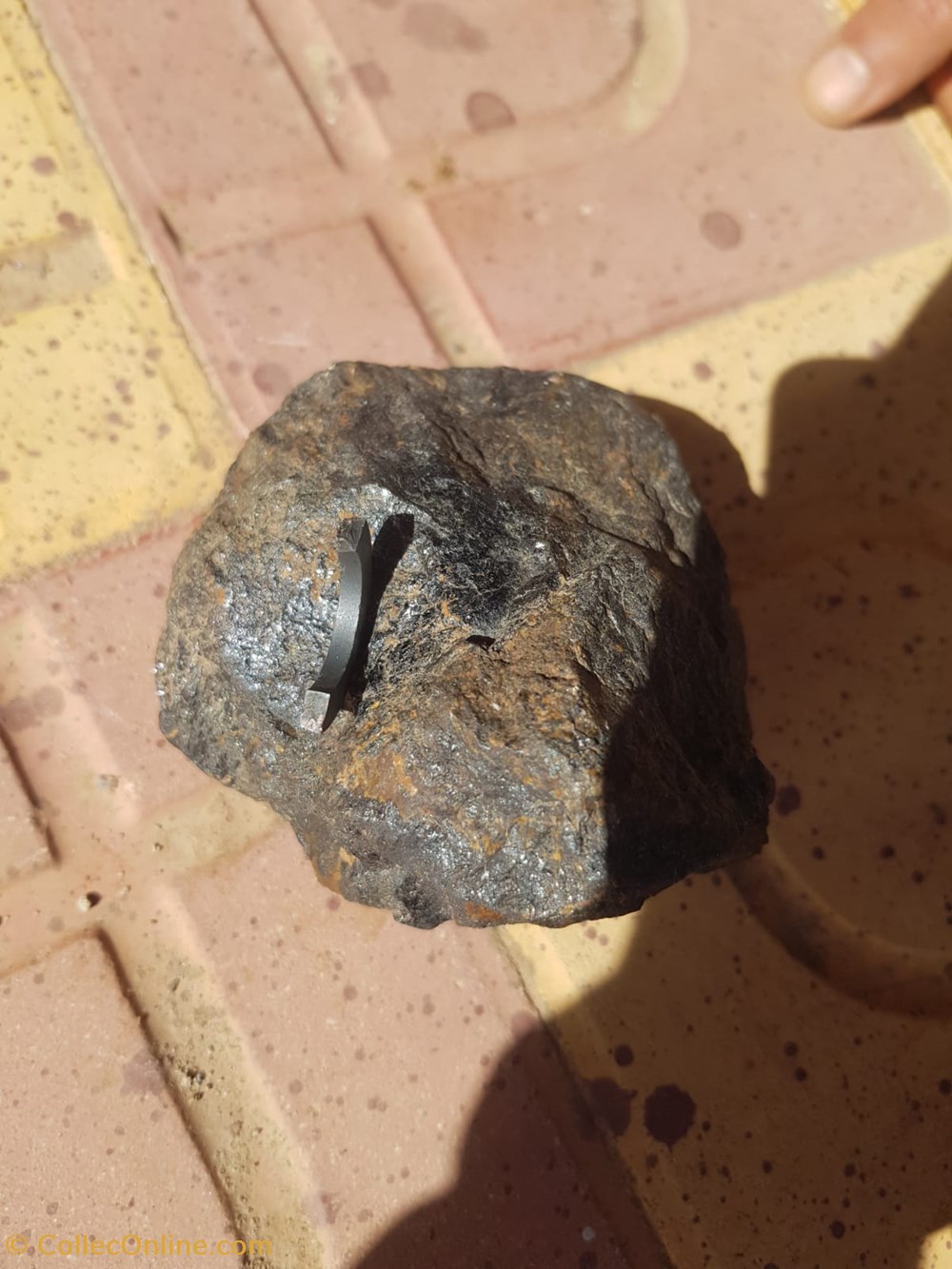 mineraux meteorites img 20230307 wa0023