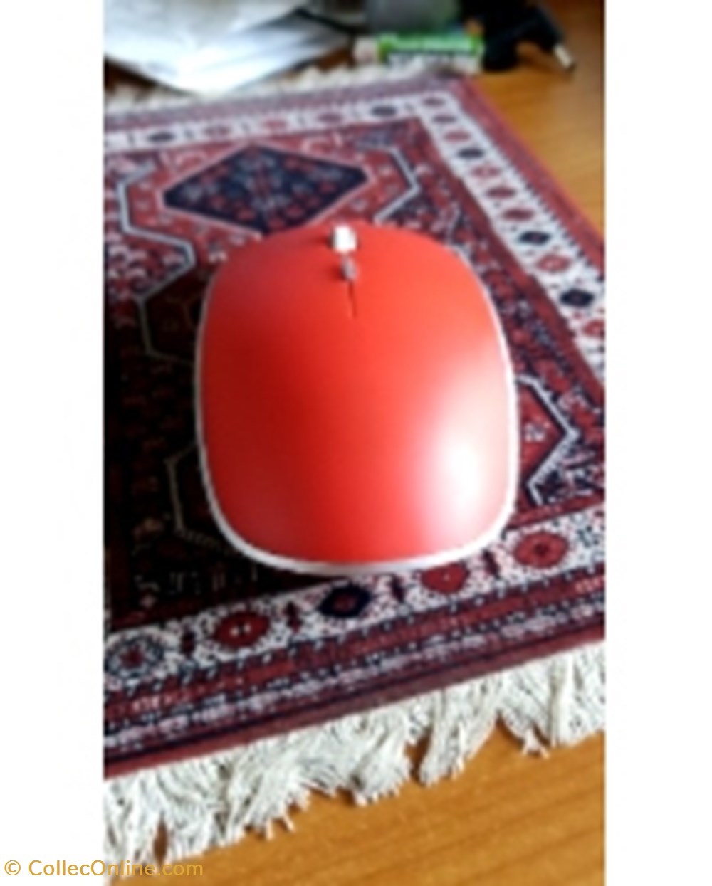 Souris divers souris