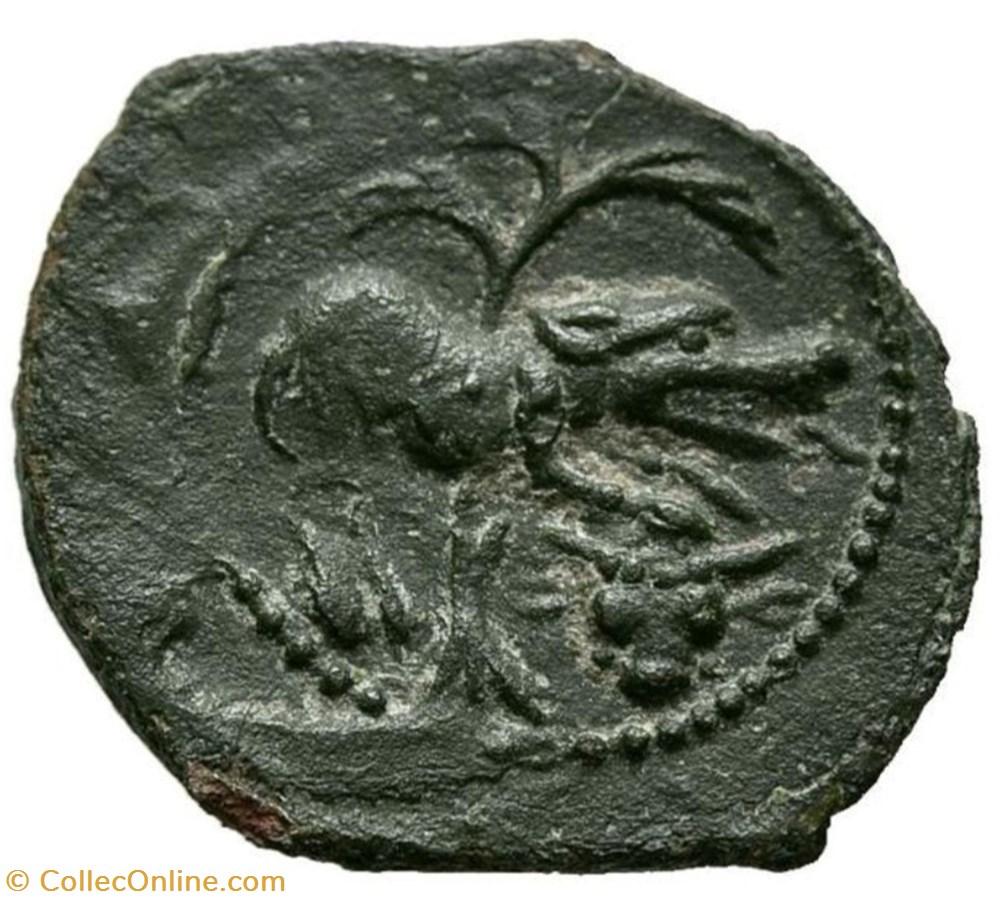 Santons/ Pictons - Bronze CONTOVTOS monnaies antiques celtes santons pictons bronze contovtos