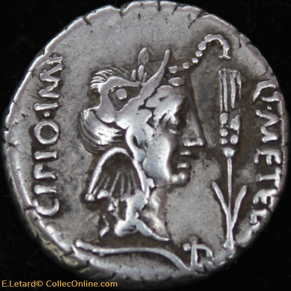 Scipion - Denier monnaies antiques a romaines imperiales et republicaines scipion denier
