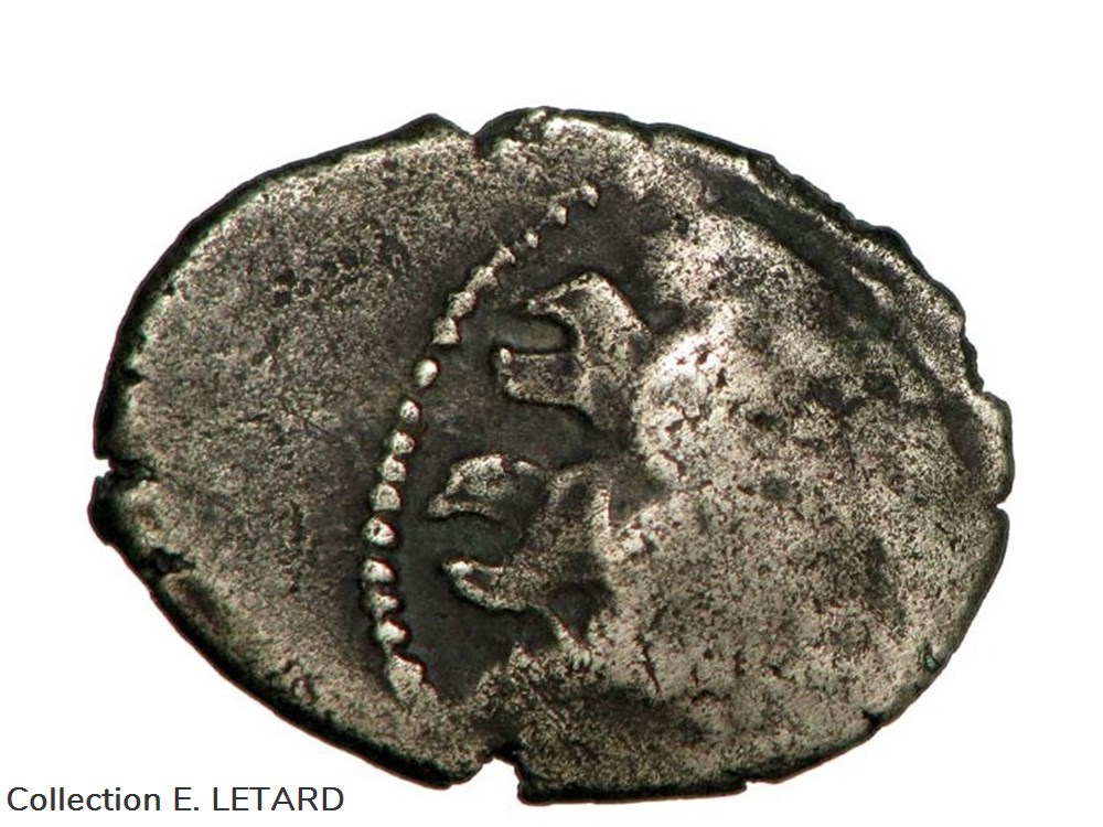 Pictons - Drachme au cavalier ailé monnaies antiques celtes pictons drachme au cavalier aile