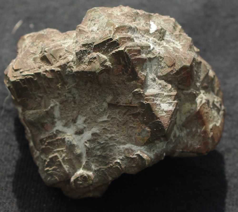 coquillages fossiles mineral 6