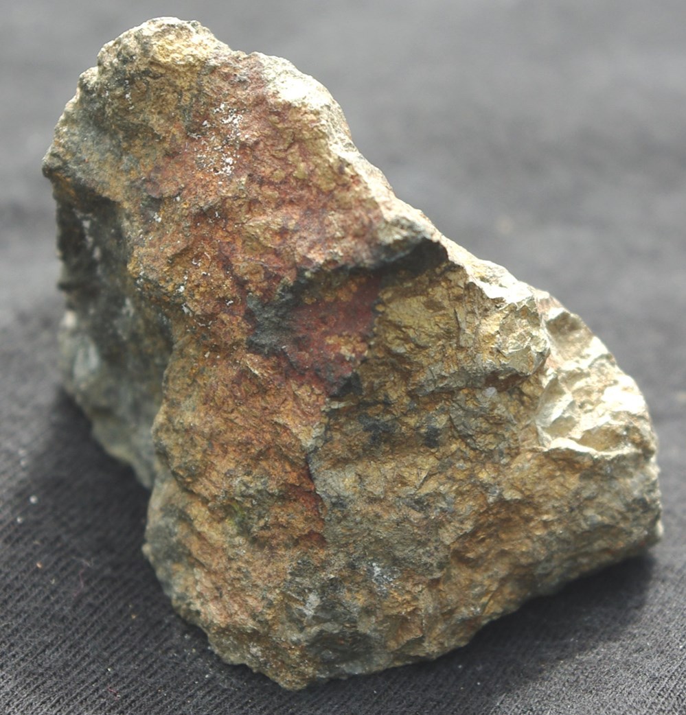 Mineral 4 coquillages fossiles mineral 4