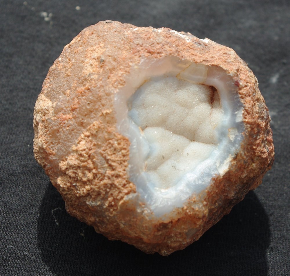 Géode de Calcédoine coquillages fossiles geode de calcedoine