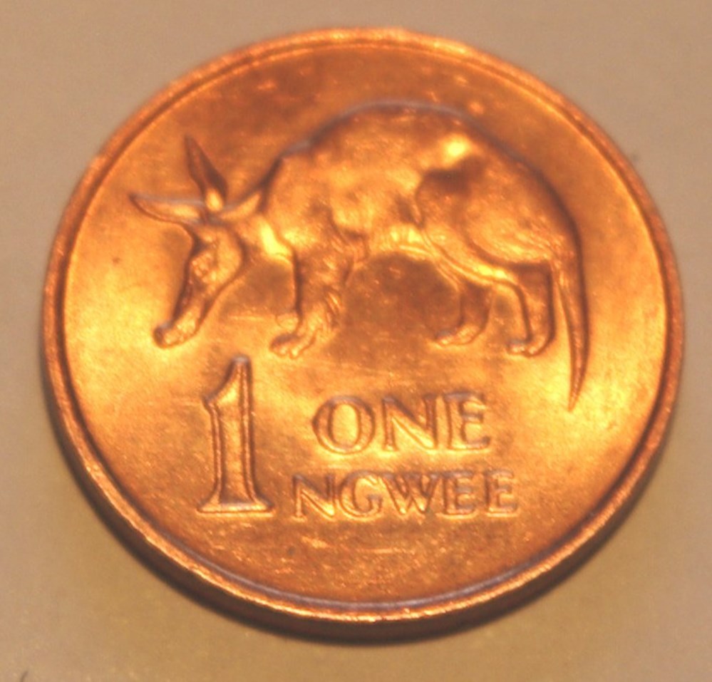 1 ngwee - 1983 monnaies monde zambie 1 ngwee 1983