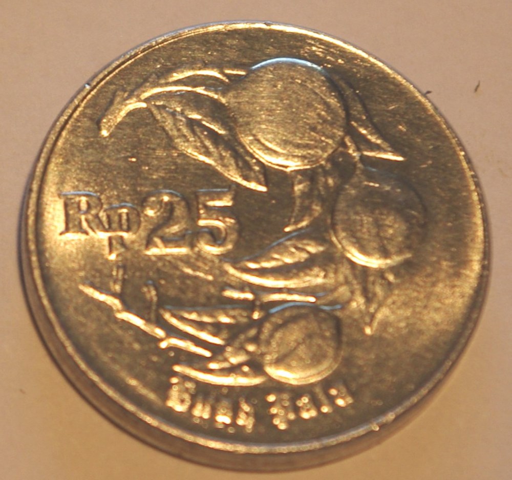 monnaies monde indonesie 25 rupiah 1994