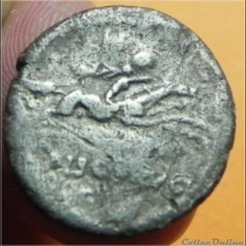 monnaie antique romaine calpurnia