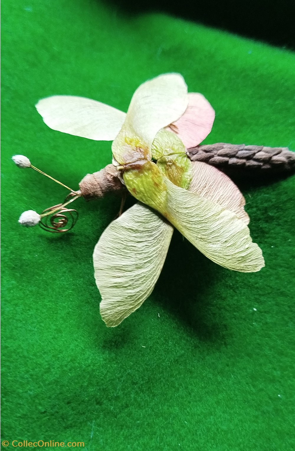 divers insecte imaginaire