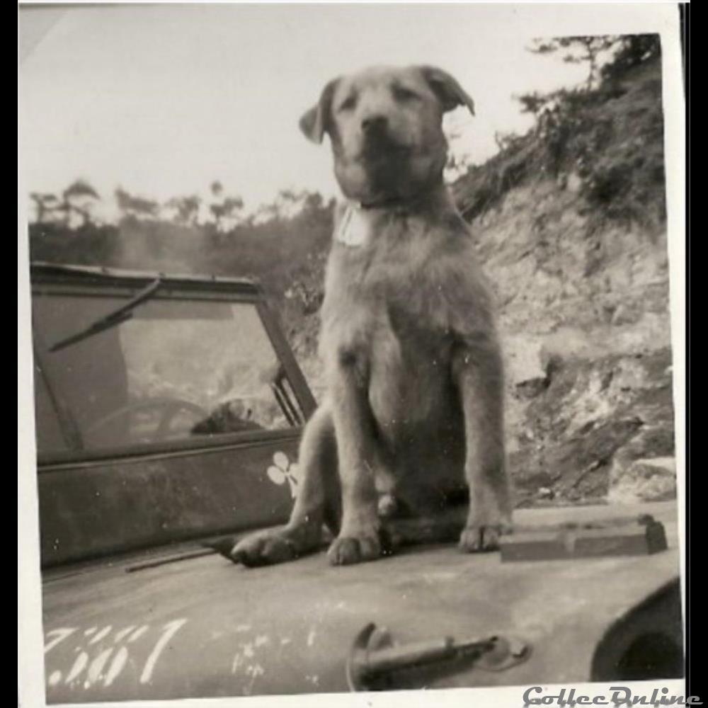 Landry tué en 1952 , la mascotte Bandzaï & Cpt Broutin photographie poid opium europe landry tue en 1952 la mascotte bandzai cpt broutin