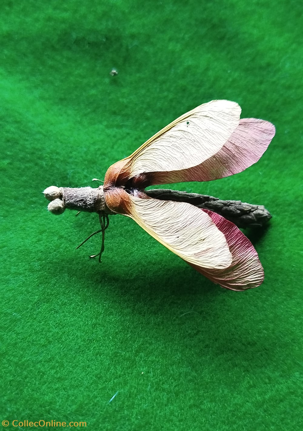 Insecte imaginaire divers insecte imaginaire