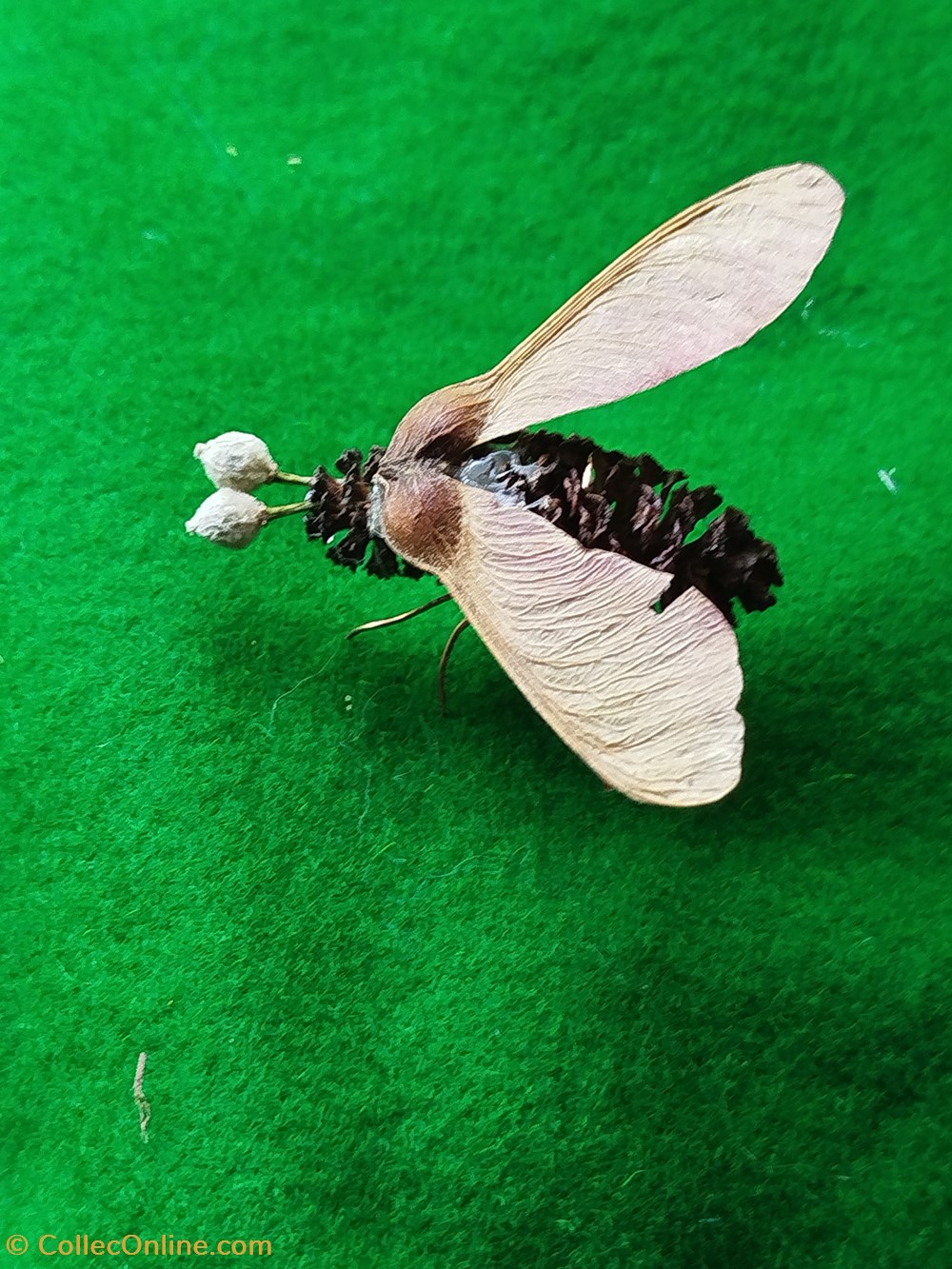 divers insecte imaginaire ou pas