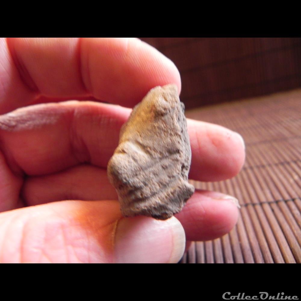 fragment de tête de félin , TERRE CUITE art antiquite archeologie amerique fragment de tete de felin terre cuite