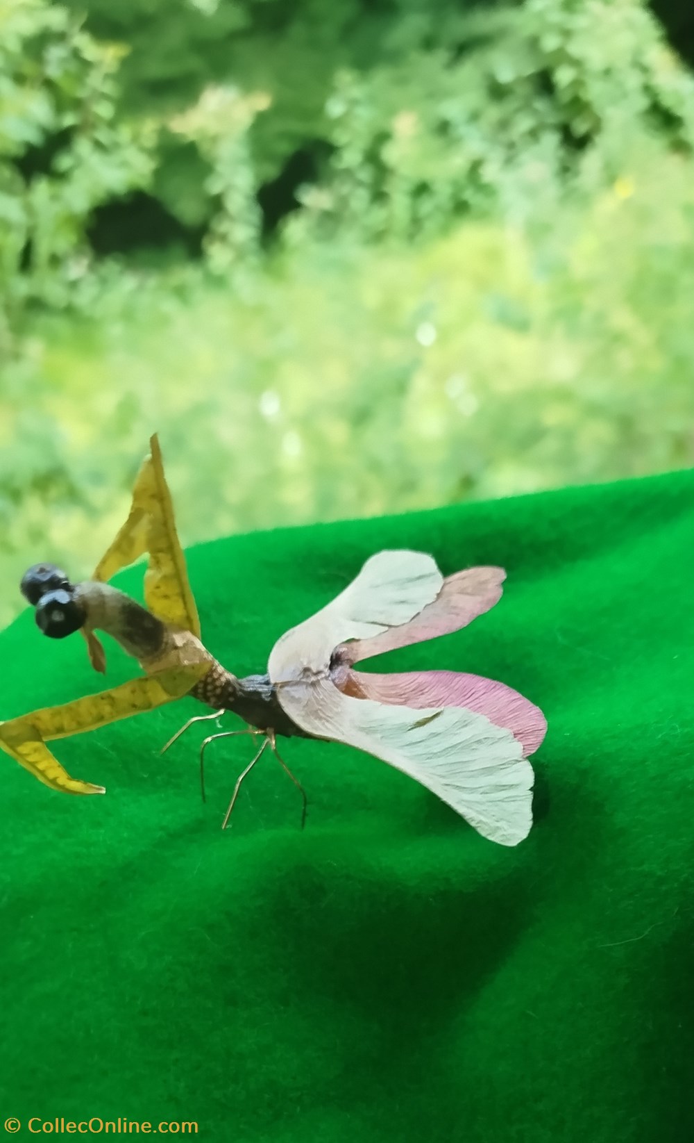divers insecte imaginaire