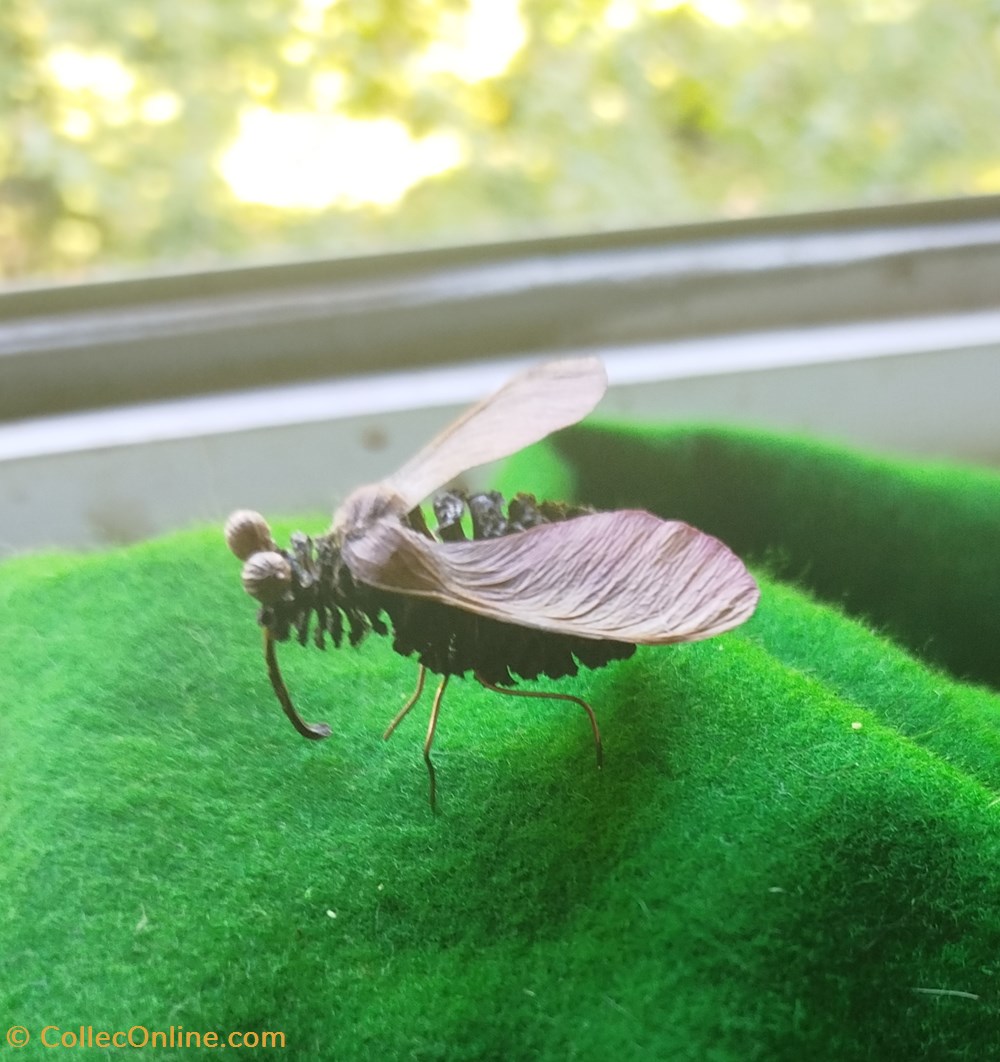 Insecte imaginaire ( ou pas). divers insecte imaginaire ou pas